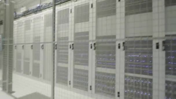 Uomo Nel Data Center — Video Stock