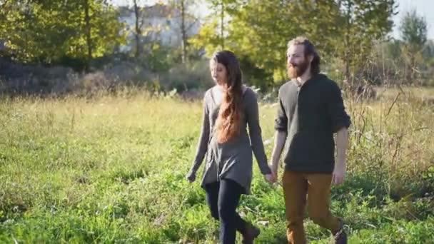 手を繋いでいると 草原の上を歩く若いカップル — ストック動画