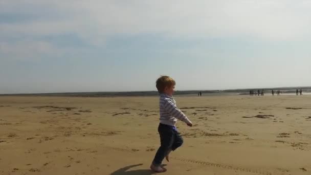 Kleiner Junge Läuft Strand — Stockvideo