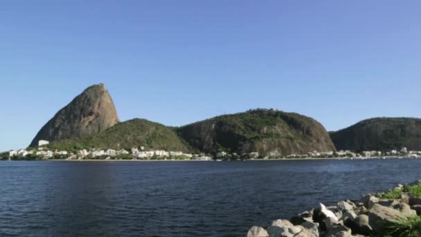 ブラジルでシュガーローフ山 — ストック動画