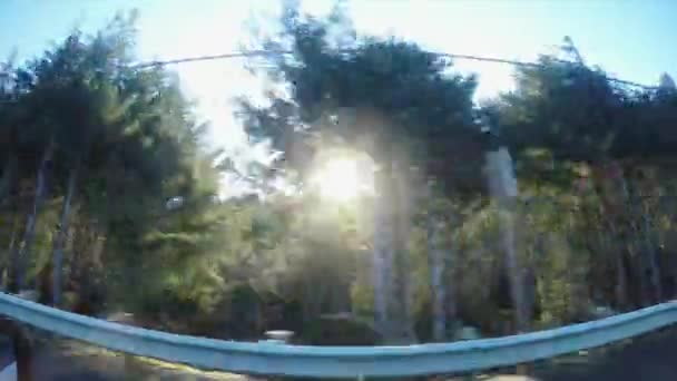 Samochód Przekazując Światło Słoneczne Wuth Lasu — Wideo stockowe