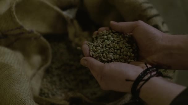 Kahve Çekirdekleri Kadar Toplama Adamın Yakın Çekim — Stok video