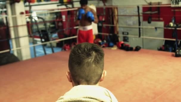 Boxers Treinando Começando Luta Ringue — Vídeo de Stock