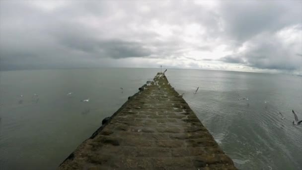 Paisaje Marino Con Muelle Piedra Seglares Volando Sobre — Vídeo de stock