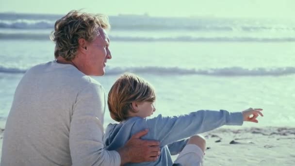 Rückansicht Von Vater Und Sohn Gespräch Strand — Stockvideo