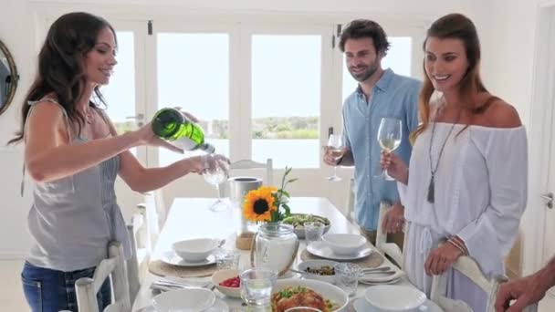 Woman Pouring Wine Home — Stock Video