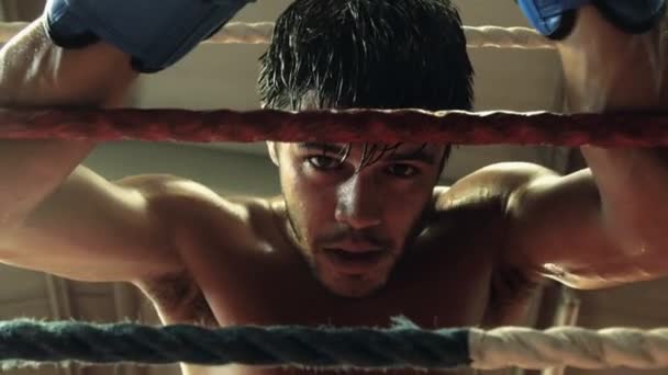 Jeune Boxeur Appuyé Sur Des Cordes Anneaux — Video