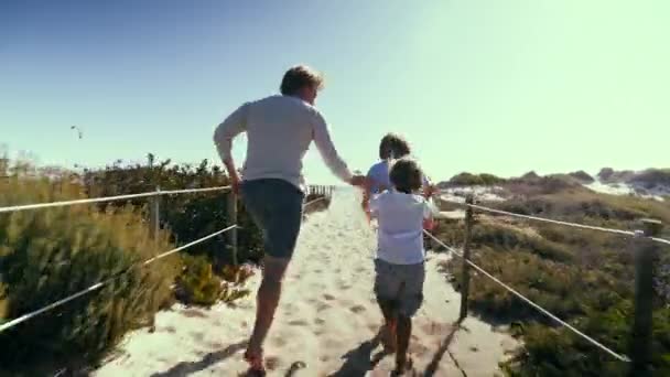 Πίσω Όψη Του Πατέρα Τους Γιους Που Τρέχουν Στην Παραλία — Αρχείο Βίντεο