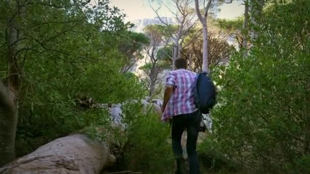Sırt Çantalı Bir Adam Ormanda Yürüyor — Stok video