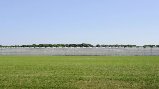 Scena Rurale Con Serra Durante Giorno — Video Stock