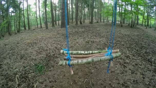 Macha Pusty Swing Lesie — Wideo stockowe