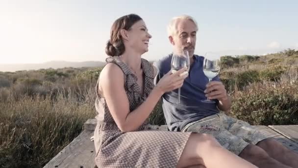 男と女の木製の桟橋にワインを飲む — ストック動画