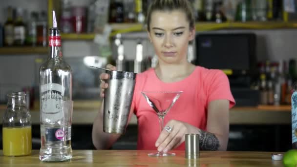 Barkeeperin Macht Cocktail — Stockvideo