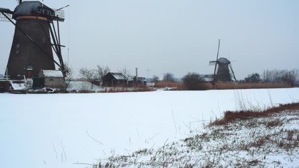 Kinderdijk Větrných Mlýnů Zimě Holandsko — Stock video