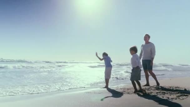Veduta Del Padre Con Figli Sulla Spiaggia — Video Stock