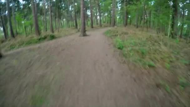 Μονοπάτι Στο Δάσος Greeb Στην Διάρκεια Της Ημέρας — Αρχείο Βίντεο