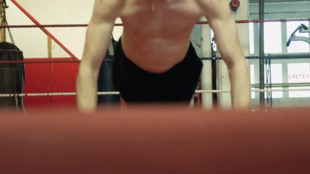 年轻的拳击手在戒指上做俯卧撑 — 图库视频影像