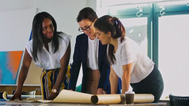 Geschäftsfrauen Gespräch Und Beim Blick Auf Baupläne Büro — Stockvideo