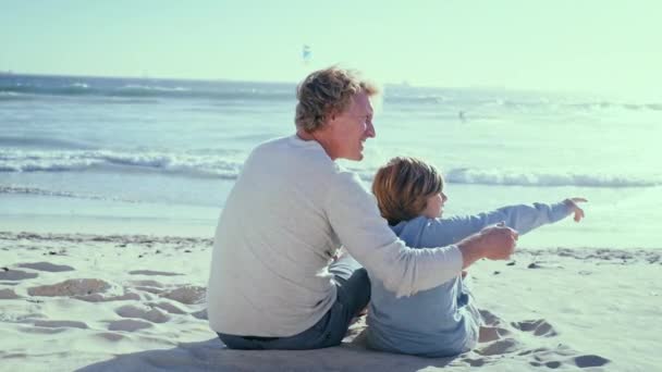 Rückansicht Von Vater Und Sohn Gespräch Strand — Stockvideo