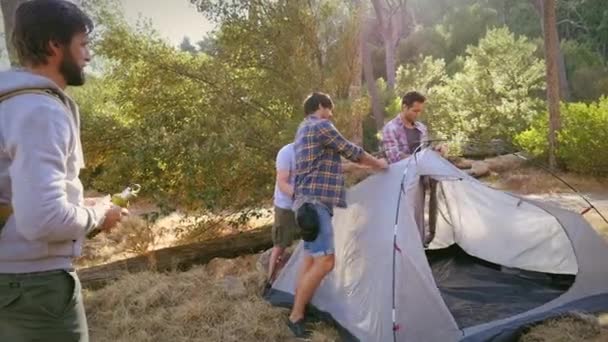 Vier Männer Schlagen Zelt Wald Auf — Stockvideo