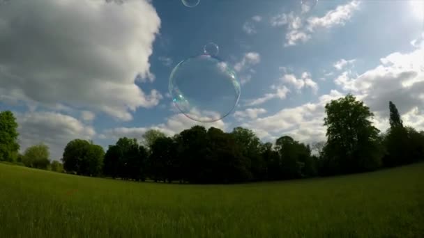 白天公园里的泡泡棒和泡泡 — 图库视频影像