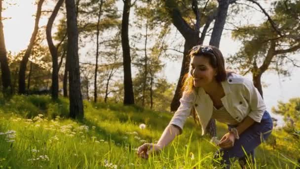 Mujer Soplando Diente León Bosque — Vídeo de stock