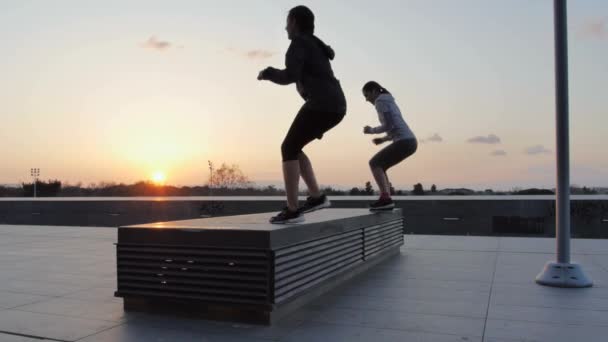 Women Exercising Rooftop — Stockvideo