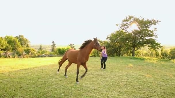 屋外で女性の突進の馬です — ストック動画