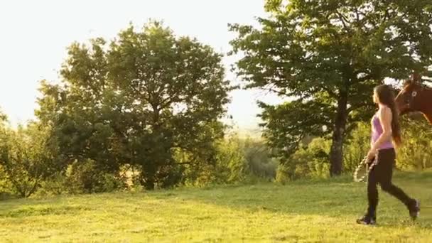 Mujer Corriendo Con Caballo Aire Libre — Vídeo de stock