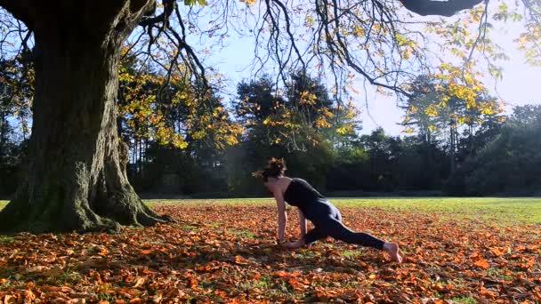 Mogen Kvinna Som Gör Yoga Höst Parken — Stockvideo
