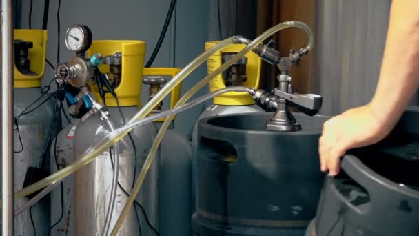 民間の醸造所でビール樽を準備する男 — ストック動画