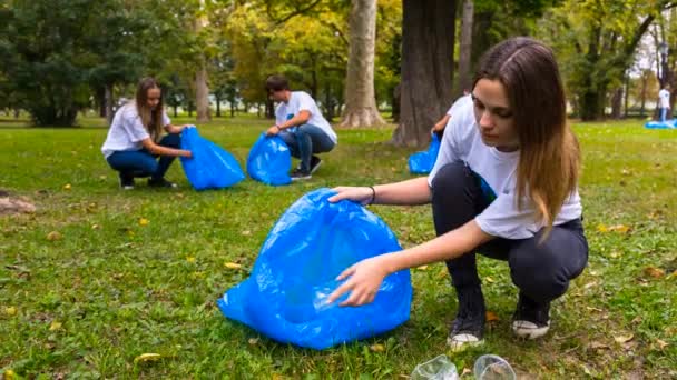 Freiwillige Sammeln Müll Auf — Stockvideo