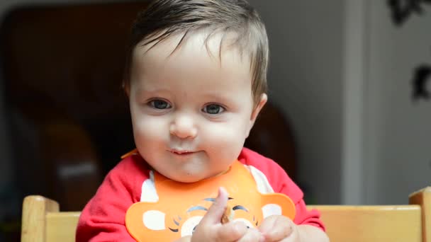 Baby Boy Eating Bread — Stock Video