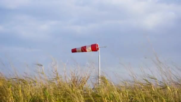 Windsock Met Blazende Wind Het Gebied — Stockvideo