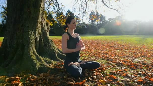 Mujer Madura Haciendo Yoga Parque Ciudad — Vídeos de Stock