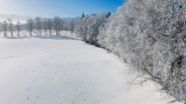 Letecký Pohled Zimní Krajinu Lesem Dne — Stock video