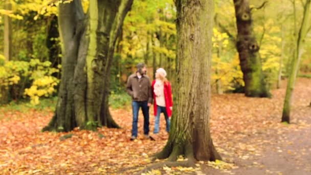 Paar Spaziert Durch Herbstlichen Stadtpark — Stockvideo