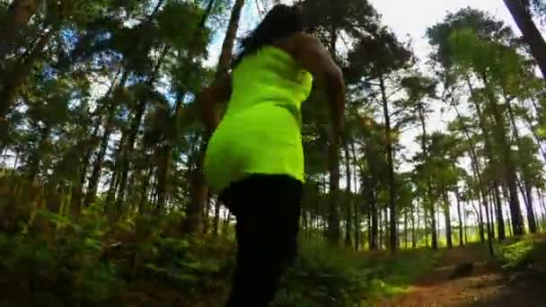 Mujer Corriendo Por Sendero Forestal Aire Libre — Vídeo de stock
