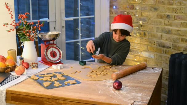 Boy Cutting Shapes Dough — Stock Video