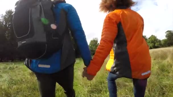 Nsan Çayırlarda Yürüyen Kadın Arkadan Görünüş — Stok video