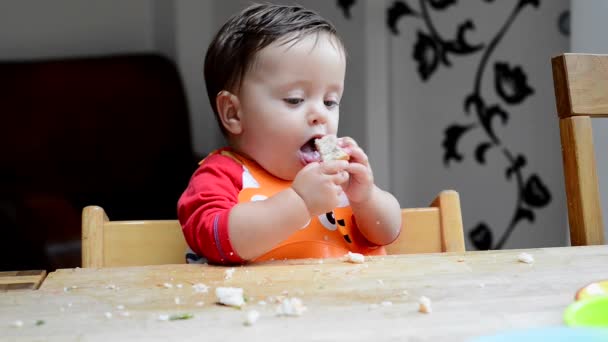 Baby Boy Playing Food — Stock Video
