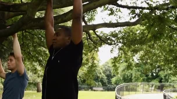 Men Doing Pull Ups Tree — Stock Video