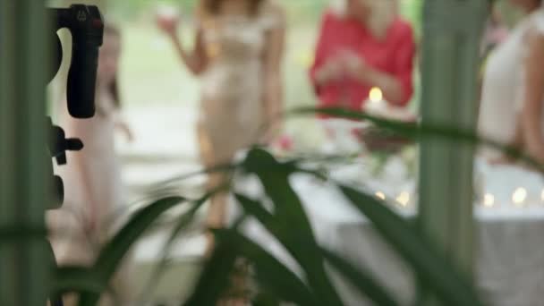 Γαμήλιοι Καλεσμένοι Που Στέκονται Γύρω Από Τραπέζι Στη Γαμήλια Δεξίωση — Αρχείο Βίντεο