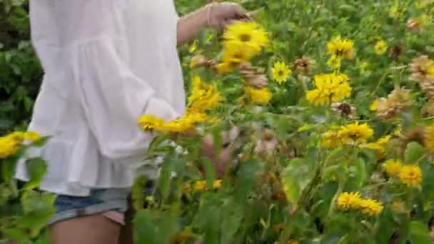 Vrouw Snijdt Bloemen Tuin — Stockvideo