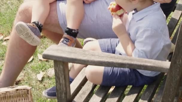 Padre Hijos Sentados Banco Comiendo Manzanas — Vídeos de Stock