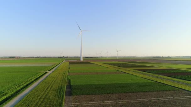 スウィフターバント フレボランド オランダの風力タービンを備えた農村風景 — ストック動画