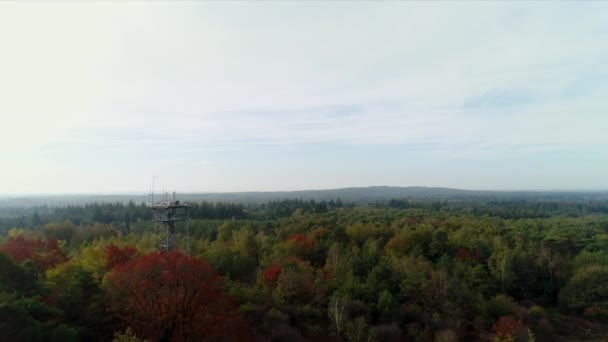 Krajobraz Lasem Starą Wieżą Widokową Ommen Drenthe Holandia — Wideo stockowe