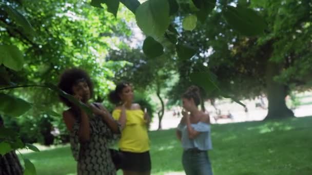 Amigos Sexo Feminino Falando Parque Hackney Londres Inglaterra Reino Unido — Vídeo de Stock