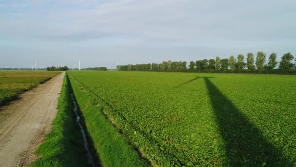 Paysage Rural Avec Éoliennes Swifterbant Flevoland Pays Bas — Video