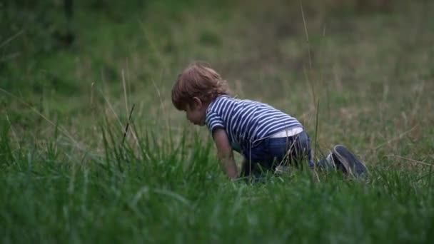 Boy Crawling Grass — ストック動画